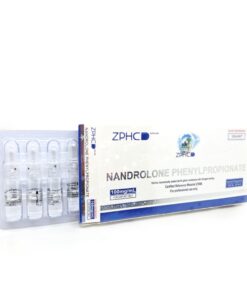 Nandrolone Phenylpropionate (NPP) ZPHC — 100 mg/ml (10 ampoules × 1 ml, 1 000 mg total)
